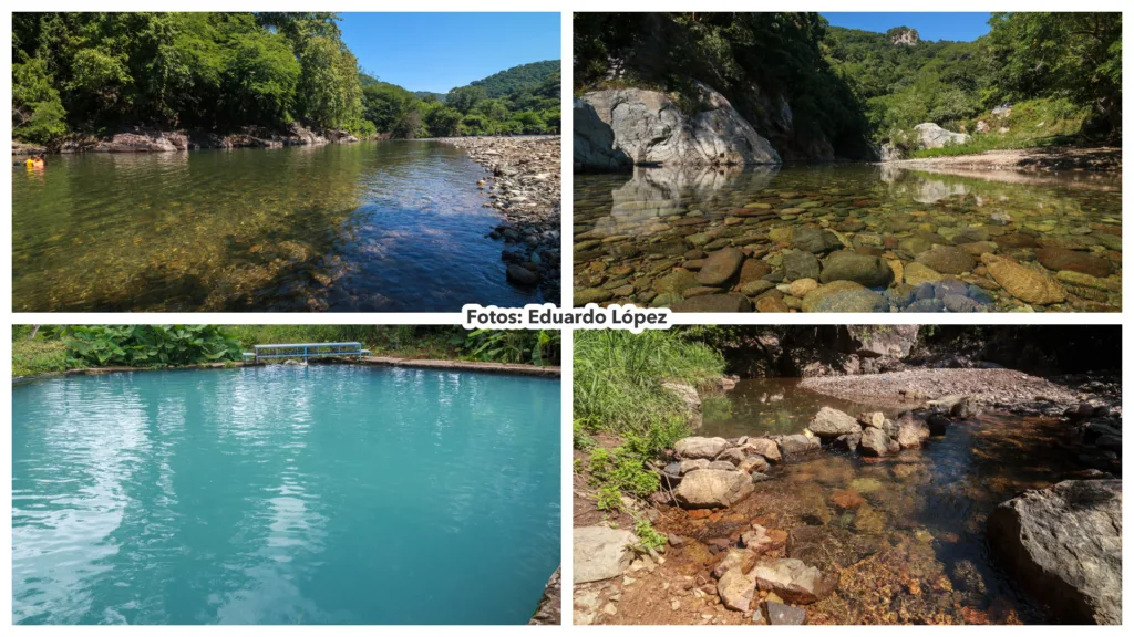 Collage de cuatro paisajes naturales de Nayarit con arroyos, pozas de agua cristalina y vegetación abundante durante la temporada de lluvias. Fotos: Eduardo López.